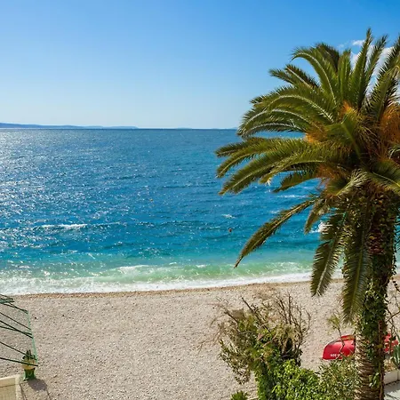Seaview Gogi Čelina