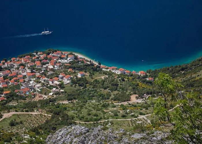 Seaview Gogi Čelina