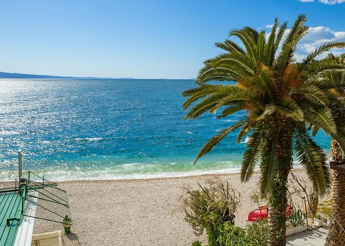 Seaview Gogi Čelina